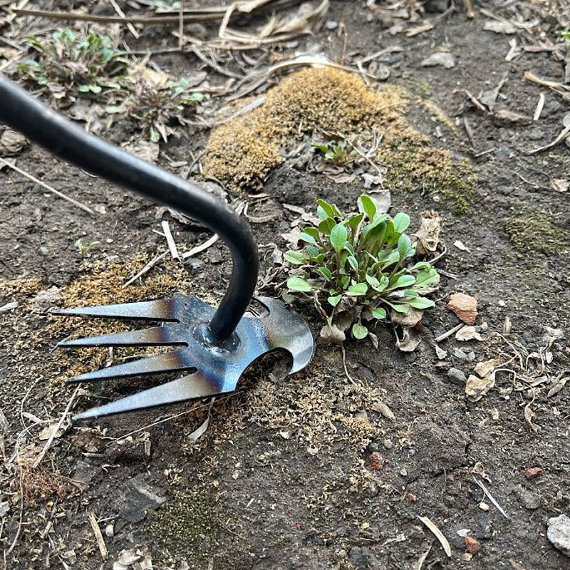 Factory direct cost price🔥Gardening Hand Weeder Tools
