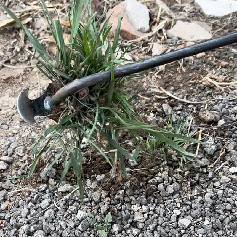 Factory direct cost price🔥Gardening Hand Weeder Tools