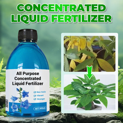 🎁 Year-End 50% Off Sale🔥All-in-One Plant Regeneration Concentrate