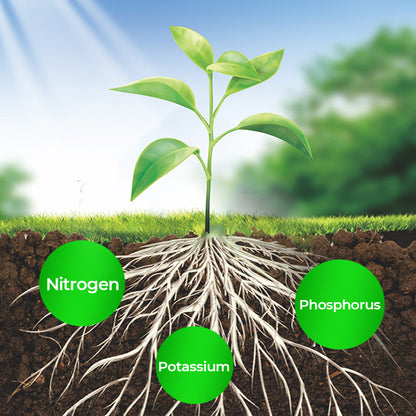 🎁 Year-End 50% Off Sale🔥All-in-One Plant Regeneration Concentrate