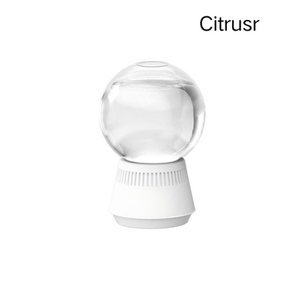 Snow Globe-Shaped Inverted Aromatherapy🔥Top-Selling Formaldehyde-Removing Home Fragrance Care Products in 2026