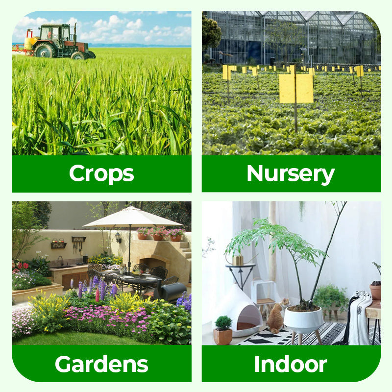 🎁 Year-End 50% Off Sale🔥All-in-One Plant Regeneration Concentrate