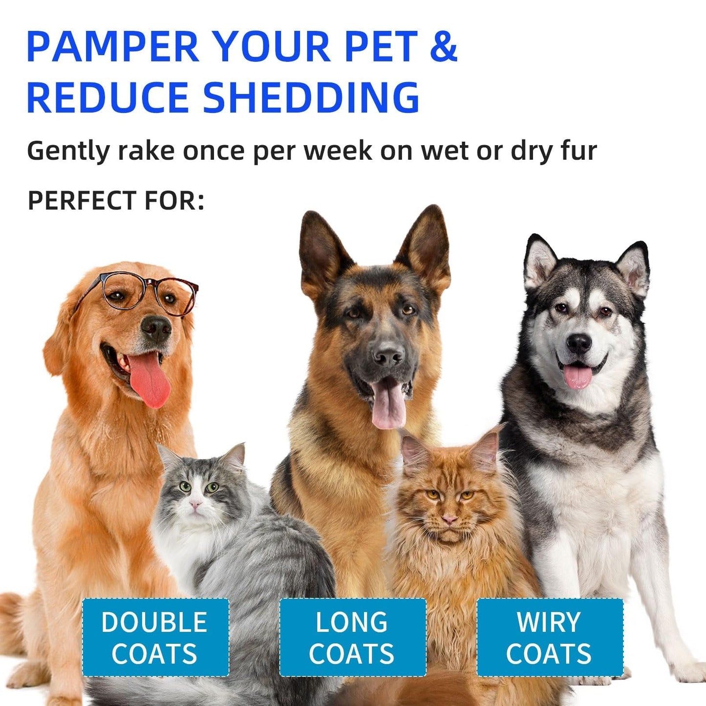 🐱2025 Hot Sale 50% Off🐶Pet Spray Hair Removal Com