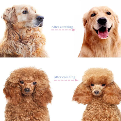 ⏰🔥LIMITED TIME 50% OFF! 🐾 Professional Deshedding Tool for Dogs & Cats – Gentle, Efficient & Fur-Free Home ✨(💖Get 2 Free Pet Grooming Gloves)