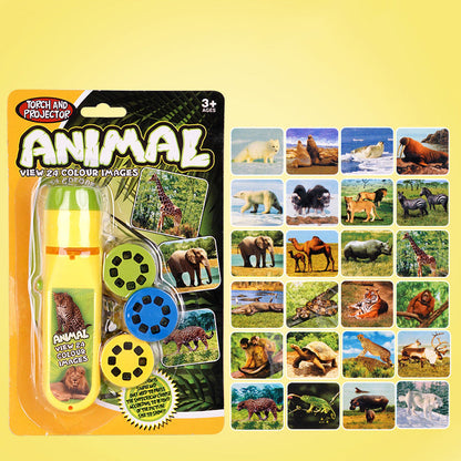 🎁LAST DAY 40% OFF🦖Educational Projection Toy with Themed Slides