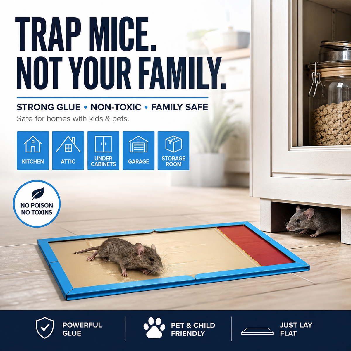 ⏳🔥LIMITED-TIME 50% OFF! ⏰Mouse Glue Trap Indoor Use for Home