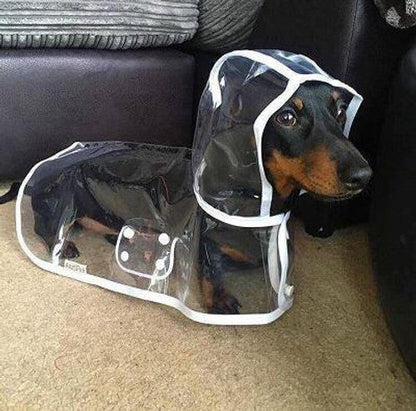 🔥Hot Sale 49% Off🔥Transparent Raincoat For Dog