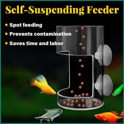 ✨Buy 2 Get 1 Free✨Aquarium Feeding Ring and Tray