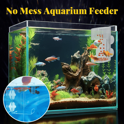 ✨Buy 2 Get 1 Free✨Aquarium Feeding Ring and Tray