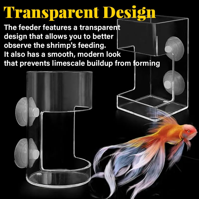 ✨Buy 2 Get 1 Free✨Aquarium Feeding Ring and Tray