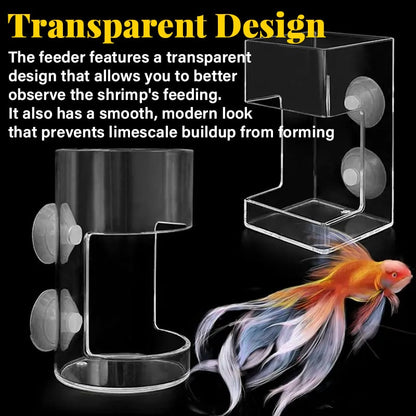 ✨Buy 2 Get 1 Free✨Aquarium Feeding Ring and Tray