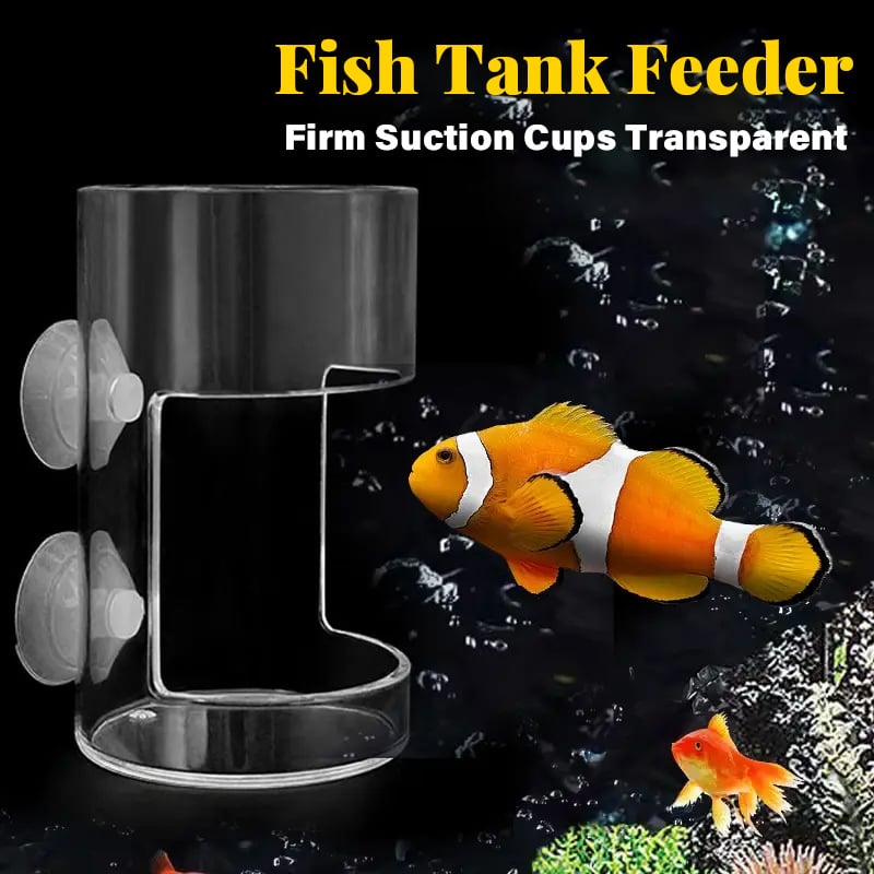 ✨Buy 2 Get 1 Free✨Aquarium Feeding Ring and Tray