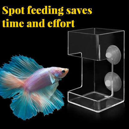 ✨Buy 2 Get 1 Free✨Aquarium Feeding Ring and Tray