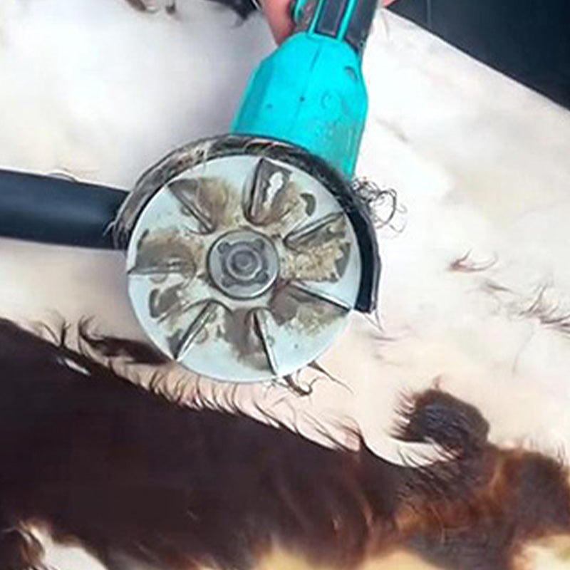 Flash Sale: 50% Off⚡Labor-Saving Livestock Hair Removal Scraper