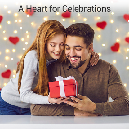 ⏳Christmas Time-Limited Special⏰Titanium Steel Rotatable Spinner Ring with Zirconia