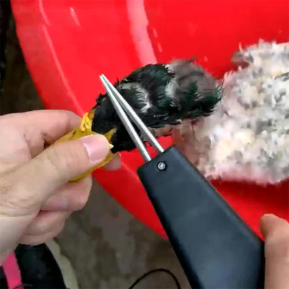 Electric Poultry Plucker for Chickens & Ducks