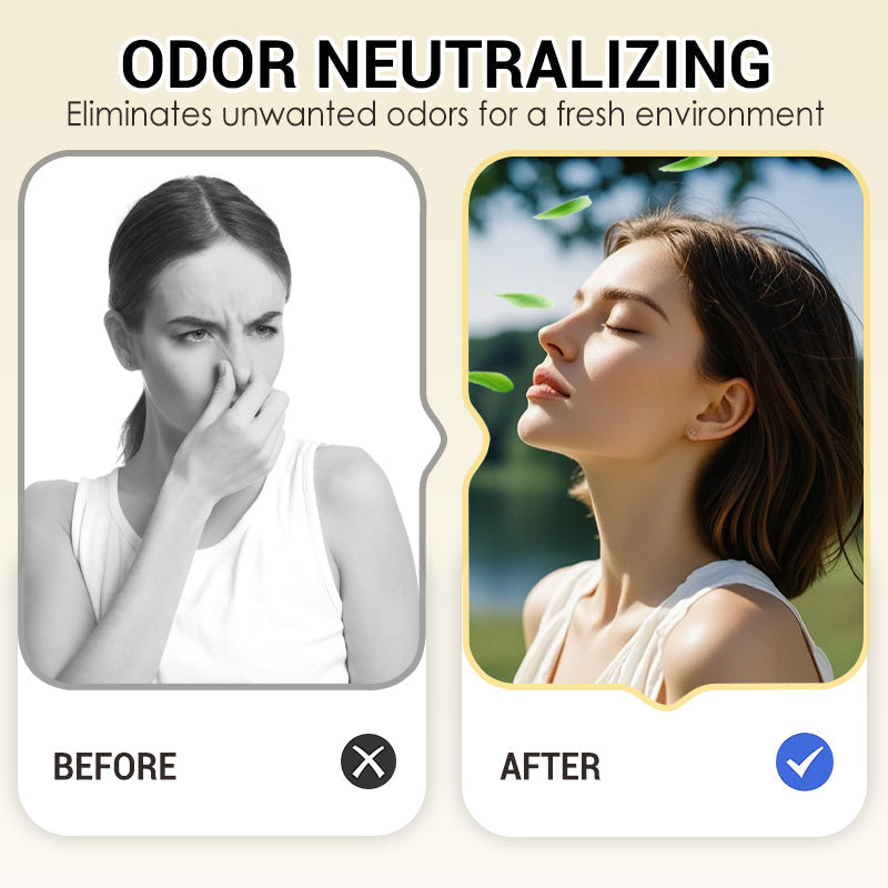 Snow Globe-Shaped Inverted Aromatherapy🔥Top-Selling Formaldehyde-Removing Home Fragrance Care Products in 2026