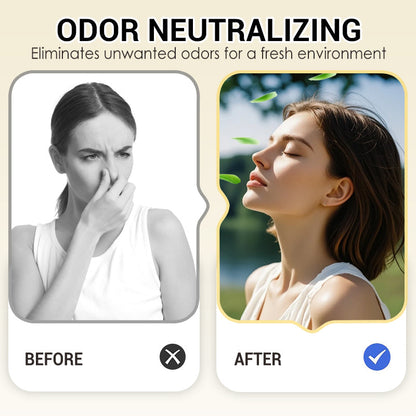 Snow Globe-Shaped Inverted Aromatherapy🔥Top-Selling Formaldehyde-Removing Home Fragrance Care Products in 2026