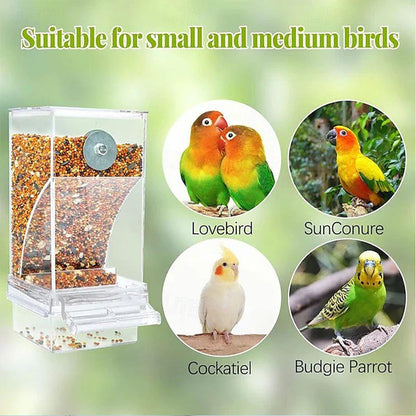 🎉Limited‑Time 50% OFF 🐦No Mess Automatic Bird Feeder