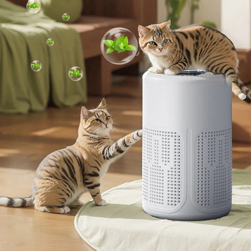 🔥40% OFF! 🌬️ Compact Home Air Purifier – Quiet, Energy-Efficient & Perfect for Allergies, Dust & Pet Hair 🏠✨