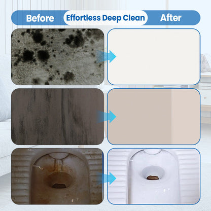 Instant Mold & Mildew Stain Remover Spray