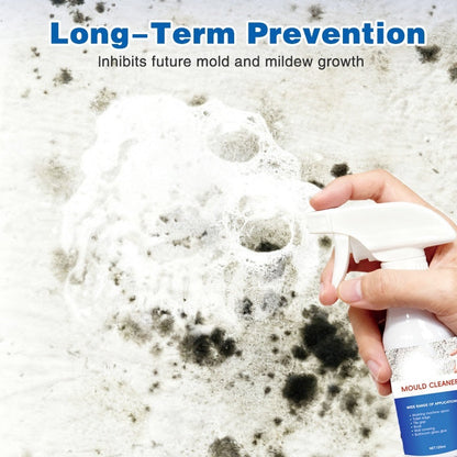 Instant Mold & Mildew Stain Remover Spray