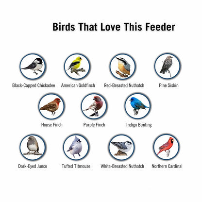 💥New Spring 2023💥 Squirrel-Proof Bird Feeder