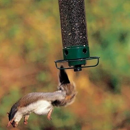 💥New Spring 2023💥 Squirrel-Proof Bird Feeder