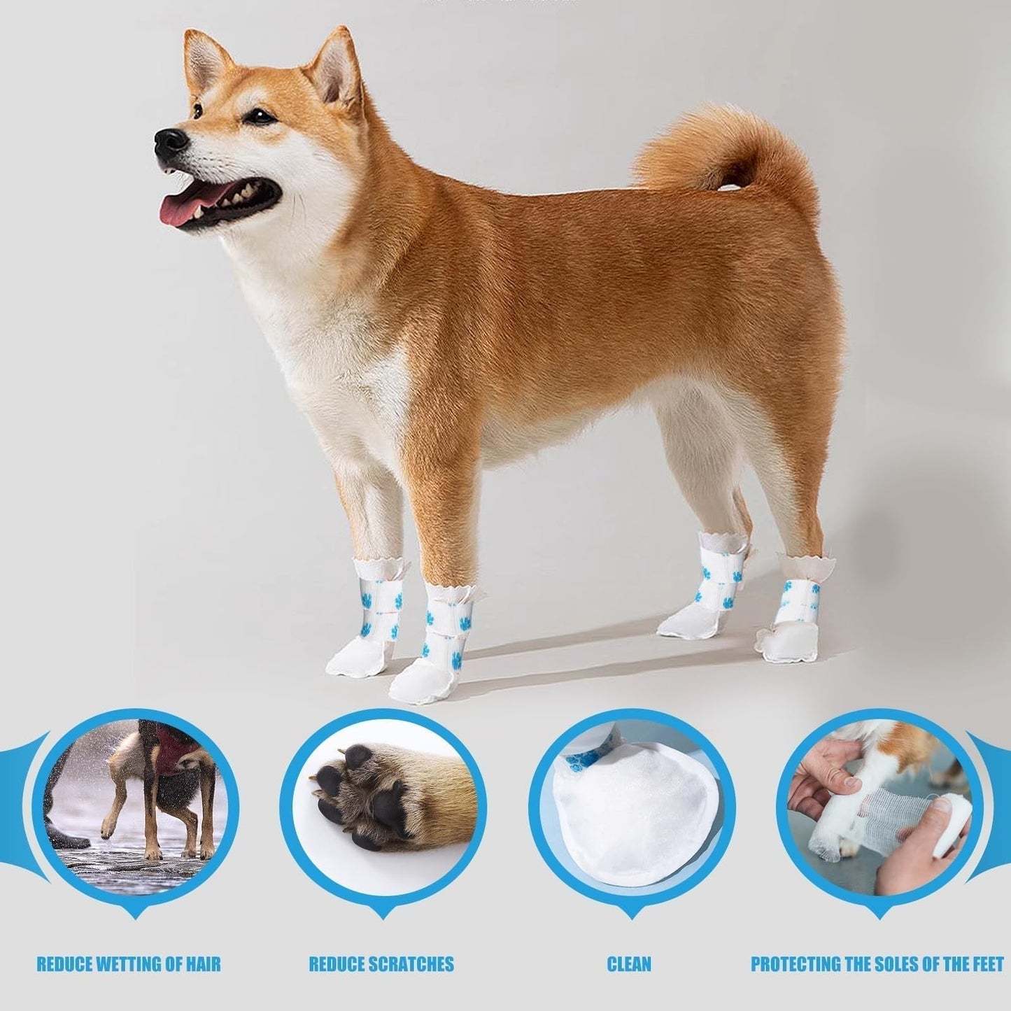 Water-Resistant Pet Paw Protectors – 2026 Bestseller 🐾