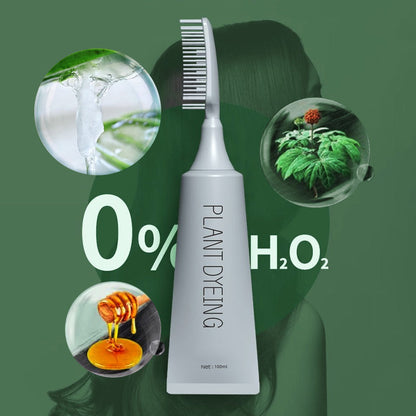 🔥Limited Special Discount - 50% OFF🔥Plant-Based Comb Hair Dye🌿