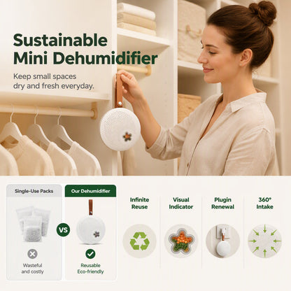 Reusable Mini Dehumidifier for Home