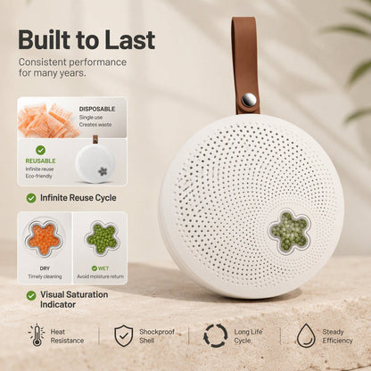 Reusable Mini Dehumidifier for Home