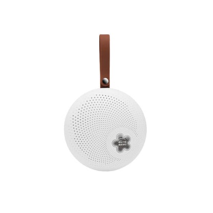 Reusable Mini Dehumidifier for Home