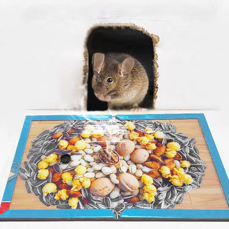 ⏳🔥LIMITED-TIME 50% OFF! ⏰Mouse Glue Trap Indoor Use for Home