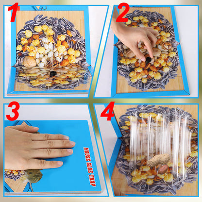 ⏳🔥LIMITED-TIME 50% OFF! ⏰Mouse Glue Trap Indoor Use for Home
