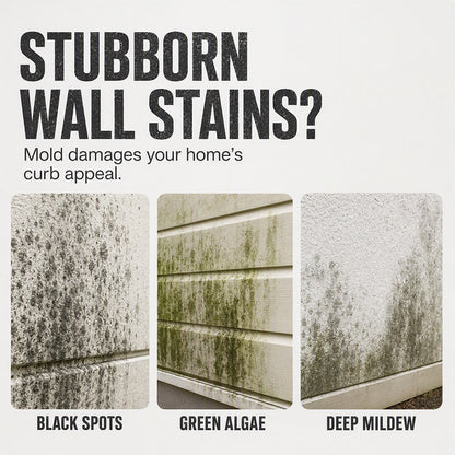 Fast-Acting Wall Mold Remover Spray
