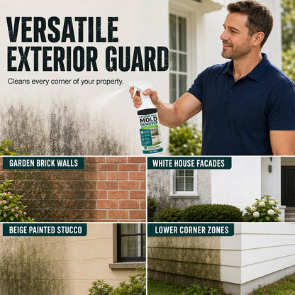 Fast-Acting Wall Mold Remover Spray