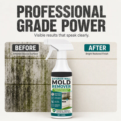 Fast-Acting Wall Mold Remover Spray