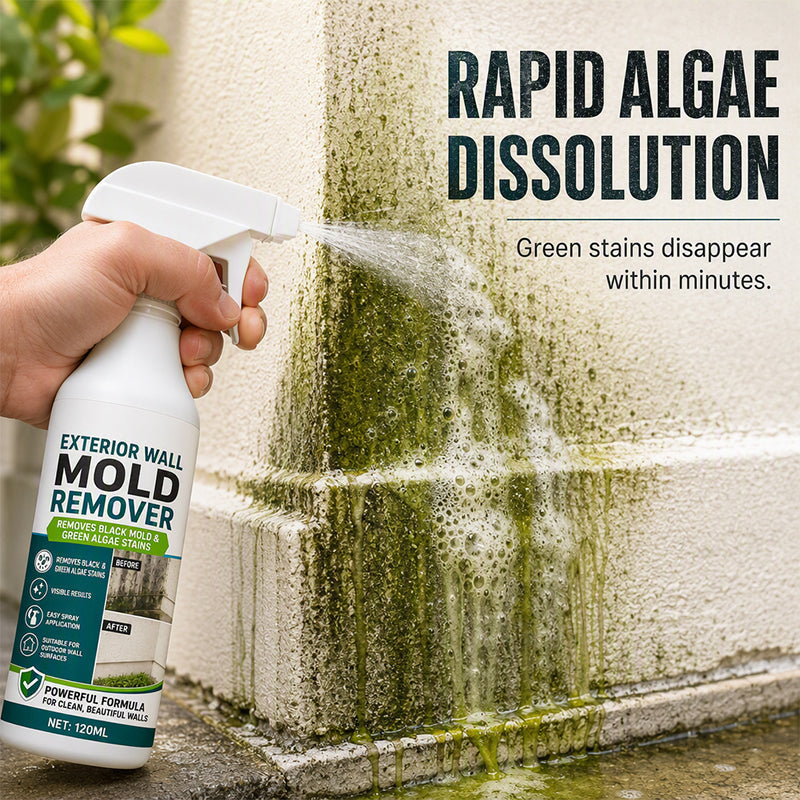 Fast-Acting Wall Mold Remover Spray
