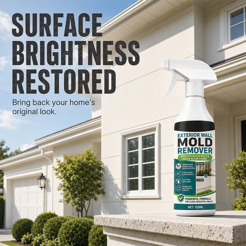 Fast-Acting Wall Mold Remover Spray