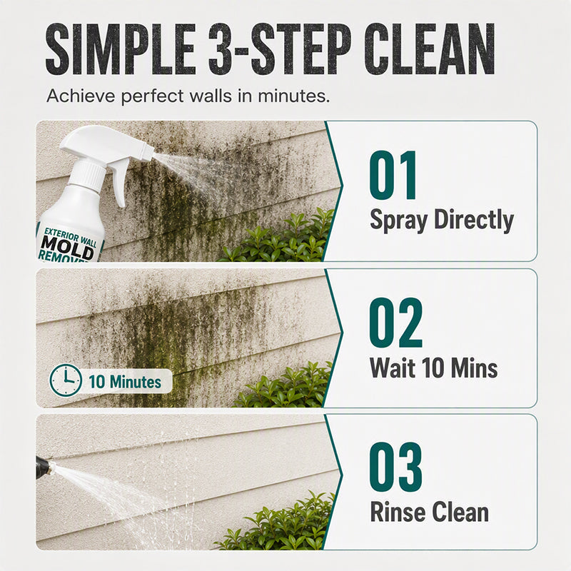 Fast-Acting Wall Mold Remover Spray