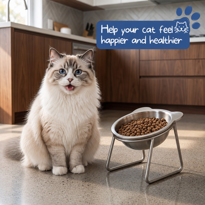 🥣15° Tilted Orthopaedic Feeding Bowl