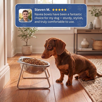 🥣15° Tilted Orthopaedic Feeding Bowl