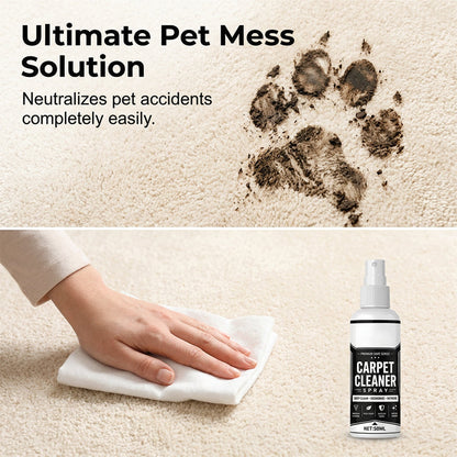 ✨Deep Cleaning Carpet Cleaner Spray