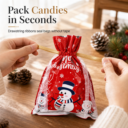 10 Pack Christmas Drawstring Candy Gift Bags