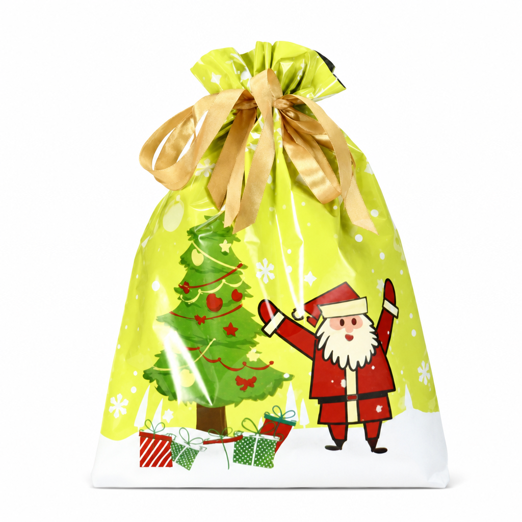 10 Pack Christmas Drawstring Candy Gift Bags