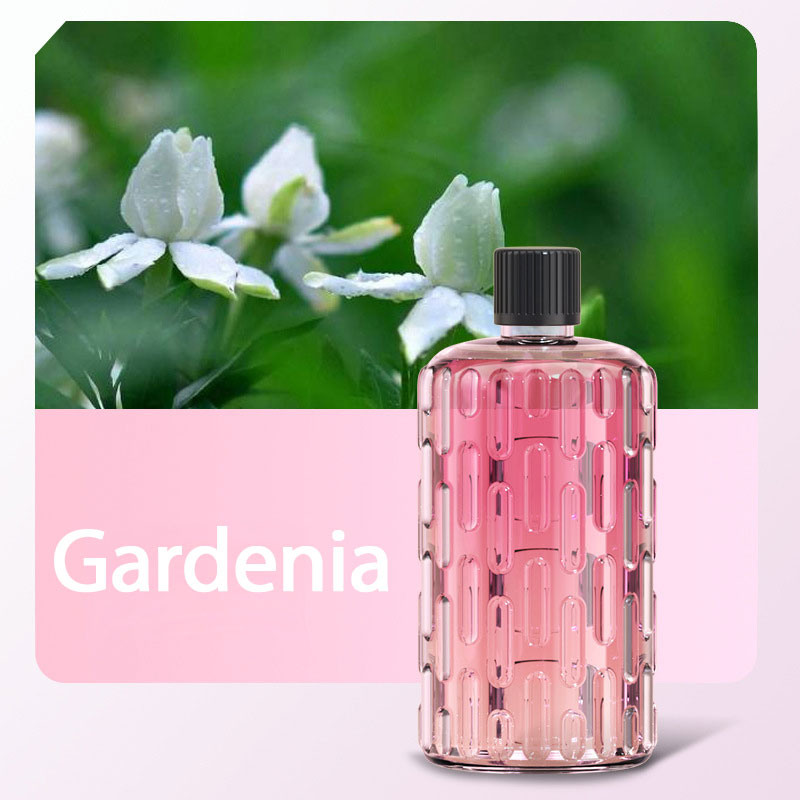 Create Ambiance Instantly! 2-in-1 Wireless Aromatherapy Machine