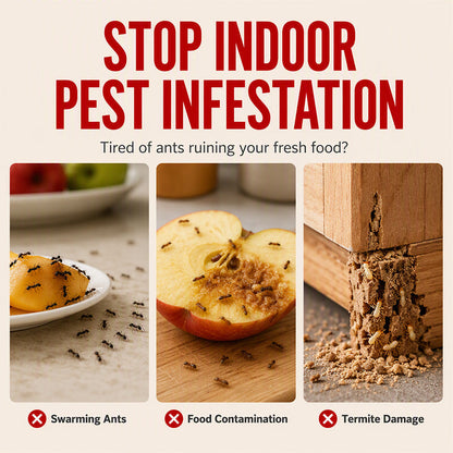 Pumpkin Shaped Indoor Fruit Fly Trap