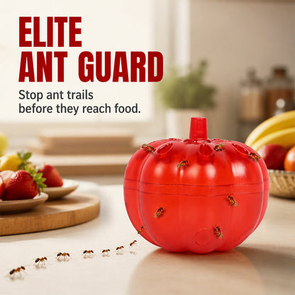 Pumpkin Shaped Indoor Fruit Fly Trap