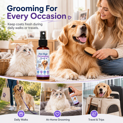 Remove Mats & Shine Instantly! Pet Detangling Spray